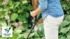 BOSCH 06008C1A03 EasyGrassCut 18V-230 Akkus szegélyvágó (1x2,0Ah)