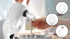 Bosch MUM58200 Konyhai robotgép MUM5 Fehér/ezüst